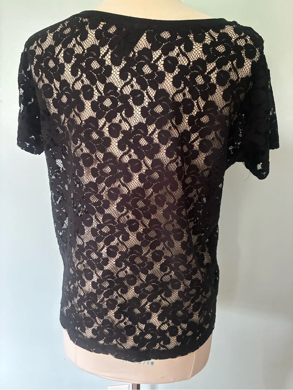 H&M Boxy Sheer Floral Short Sleeve Blouse